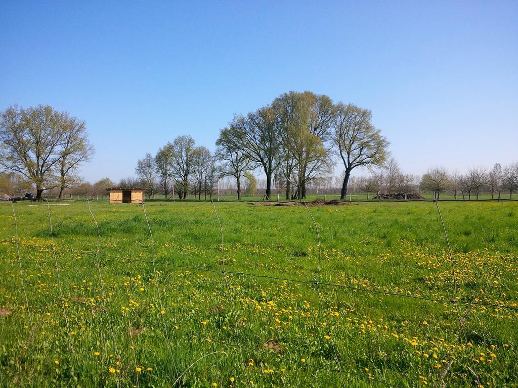 Ferienhof Idyll Am Kleinen Fliess Burg  Exterior photo